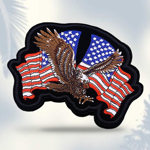 American Eagle With 2 USA Patches