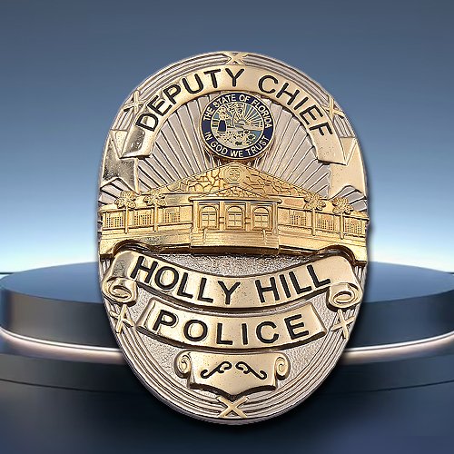 Custom 3D police badges​